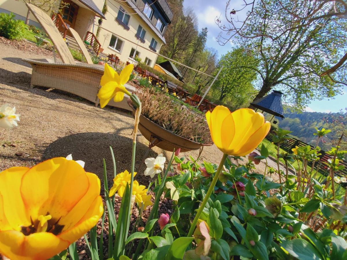 Pension Am Nationalpark Hotel Stadt Wehlen Exterior photo